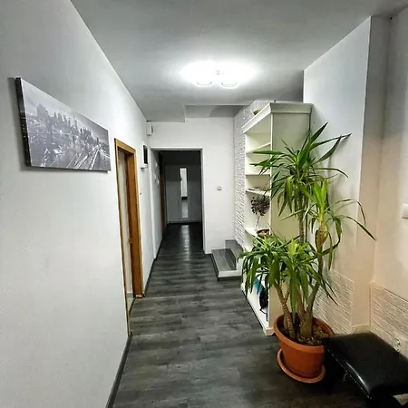 3 Cinema Garden Parking House * Bükreş